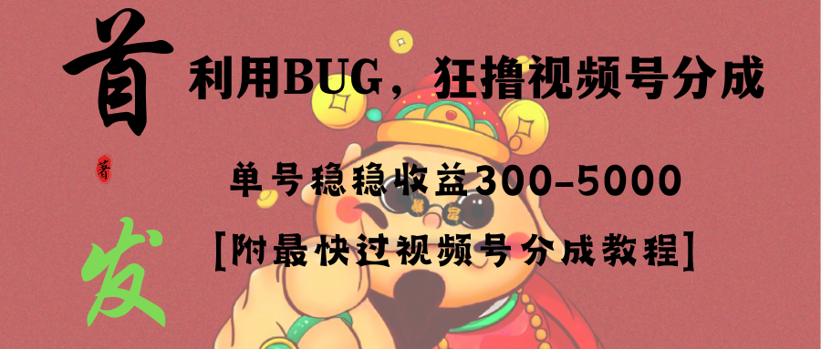 （8549期）全网独家首发，视频号BUG，超短期项目，单号每日净收益300-5000！-逍遥资源网