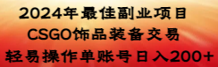 2024年最佳副业项目 CSGO饰品装备交易 轻易操作单账号日入200+-逍遥资源网