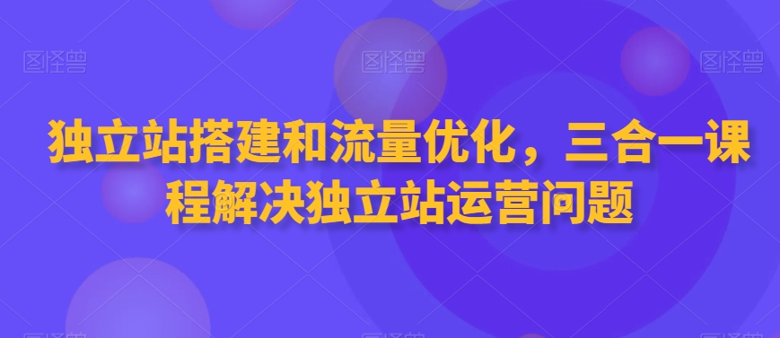 独立站搭建和流量优化，三合一课程解决独立站运营问题-逍遥资源网