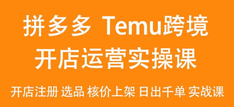 2024Temu最新玩法，Temu跨境开店运营实操课，开店注册/选品/核价上架/日出千单实战课-逍遥资源网