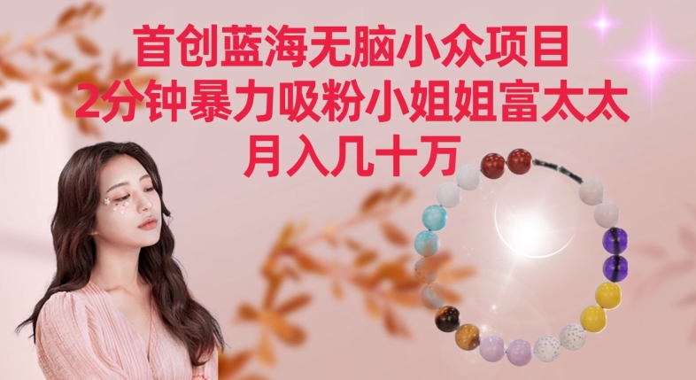 首创蓝海无脑小众项目，2分钟暴力吸粉小姐姐富太太，月入几十万-逍遥资源网