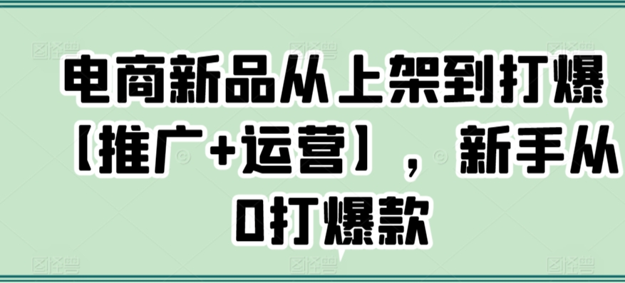电商新品从上架到打爆【推广+运营】，新手从0打爆款-逍遥资源网