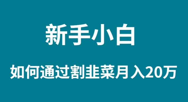新手小白如何通过割韭菜月入 20W-逍遥资源网