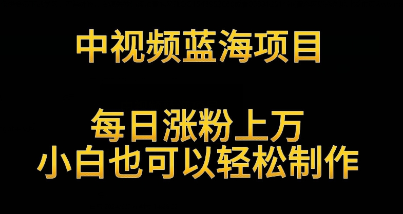 中视频蓝海项目，解读英雄人物生平，每日涨粉上万，小白也可以轻松制作，月入过万不是梦-逍遥资源网
