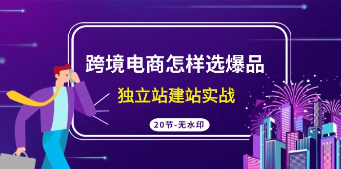 跨境电商怎样选爆品，独立站建站实战（20节高清无水印课）-逍遥资源网