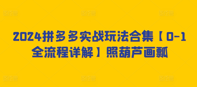 2024拼多多实战玩法合集【0-1全流程详解】照葫芦画瓢-逍遥资源网