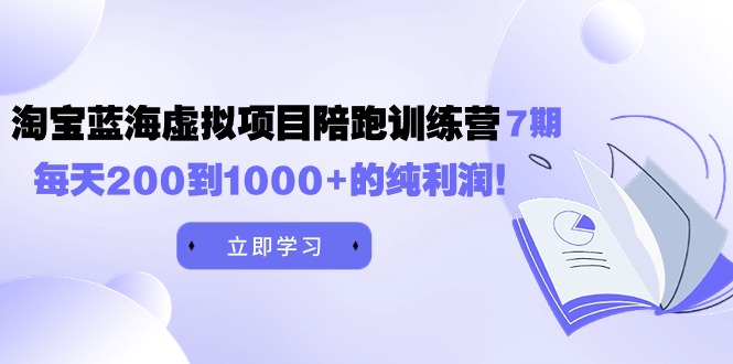 黄岛主《淘宝蓝海虚拟项目陪跑训练营7期》每天200到1000+的纯利润-逍遥资源网