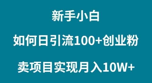 新手小白如何通过卖项目实现月入10W+-逍遥资源网