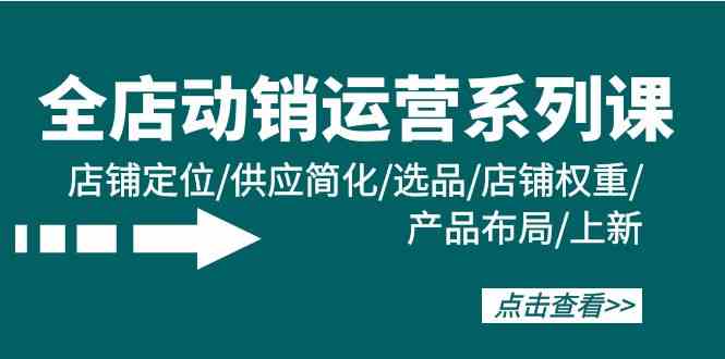全店动销运营系列课：店铺定位/供应简化/选品/店铺权重/产品布局/上新-逍遥资源网